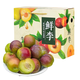 京營(yíng)覓選青紅脆李新鮮 脫骨李子新鮮空心李當季水果孕婦青脆李酸甜 5斤裝（無(wú)禮盒）