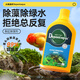 大禹德邦魚缸除藻劑不傷魚去除藻除青苔除苔劑除綠藻去黑毛藻褐藻