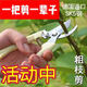【低價(jià)促銷(xiāo)】德國進(jìn)口鋼粗枝剪省力修枝剪刀修花木果樹(shù)嫁接園林剪 德國工藝【直頭+彎頭】象白色