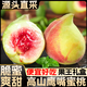 山姆伯伯 鷹嘴桃蜜桃子禮盒裝【閃送】云南脆桃子新鮮水果禮盒送禮 凈重4.5斤【巨劃算-80%人選擇】 手挑甄選特級果｜爆甜 單果105g+