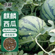 北蔬 西瓜種子種苗冰糖麒麟8424盆栽西瓜籽 冰糖麒麟瓜種子約150粒