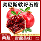 突尼斯軟籽石榴四川會理紅石榴應(yīng)季時(shí)令水果中秋節(jié)送禮水果石榴 5斤 精選裝【單果250g+】凈重4.5斤 【現(xiàn)摘現(xiàn)發(fā)】