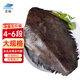 靈略比目魚(yú)身段鰈魚(yú)身段凈重5斤 共4-6只鴉片魚(yú)去頭去內臟海鮮魚(yú)類(lèi)