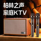 柏林之聲高端藍(lán)牙音箱便攜式家庭KTV戶(hù)外唱K歌音響家用話筒卡拉ok 復(fù)古棕 【順豐包郵_質(zhì)保2年】