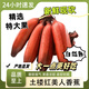 橙小士福建土樓紅美人香蕉紅蕉banana新鮮時(shí)令孕婦水果現(xiàn)砍自然熟 5斤 【出口級(jí)】高品質(zhì)美人蕉