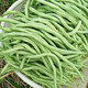 5斤架豆王無(wú)筋豆角蔬菜新鮮豆角蛇豆王無(wú)莖豆現摘現發(fā)廚房炒菜1斤 5斤新鮮無(wú)筋豆角（凈重）
