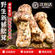 優(yōu)味集【順豐JD現(xiàn)貨速發(fā)】松茸新鮮云南野出口特級未開傘生香格里拉菌菇 商超級 松茸 6-8cm 凈重 50g