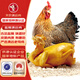 天農(nóng) 供港咸香清遠(yuǎn)雞 1.6斤 鮮熟食 古法鹽焗清遠(yuǎn)老母雞走地雞 冷凍
