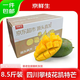 京鮮生 攀枝花凱特芒果 凈重8.5斤 單果400g+ 生鮮水果 源頭直發(fā)