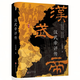 溯源書系（新增 漢武帝評傳） 漢武帝評傳