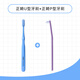 獅王日本進(jìn)口正畸牙刷 U型P型凹形刷毛兒童成人箍牙矯正專(zhuān)用V小頭中毛 （U型主刷新版1支+P型輔刷1支） 2支