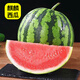 楓小七云南麒麟西瓜美都薄皮西瓜整個(gè)紅瓤夏季新鮮水果應季生鮮薄皮甜瓜 3斤-4斤小果