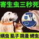 狗狗驅(qū)蟲項圈貓咪防跳蚤除蜱蟲去虱脖小型犬頸幼貓小狗體外去跳蚤 【≤8kg大用38cm】8個月長效外驅(qū)