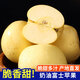 琪江果山東煙臺奶油富士蘋(píng)果 棲霞黃蘋(píng)果當季新鮮水果整箱 奶油蘋(píng)果4.5-5斤單果80mm+