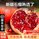 新疆和田皮亞曼石榴5斤新鮮水果包郵軟籽甜喀什葉城皮山石榴順豐A 3斤【帶箱實(shí)惠】 【小果】