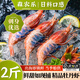 森農樂(lè )牡丹蝦新鮮刺身級鮮活冷凍日料理即食國產(chǎn)鰲蝦斑點(diǎn)蝦生吃甜蝦紅蝦 1000g(凈重)  12-14cm【10-12頭/盒 超滿(mǎn)足 】