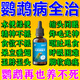 鸚鵡感冒藥治玄鳳虎皮牡丹炸毛腸炎拉稀腹瀉綠便痢疾一滴活專(zhuān)用藥 單瓶【鸚鵡急救】