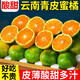 春福樂新鮮云南蜜桔青皮蜜橘應(yīng)季早熟柑橘無籽桔子新鮮孕婦水果整箱包郵 精選單果50mm+丨凈重8.5-9斤