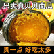 正宗貝貝南瓜板栗味寶寶輔食老南瓜新鮮蔬菜生鮮減肥減脂早餐輕食 沙漠貝貝南瓜 5斤 家庭裝60%選擇