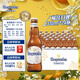 福佳白啤酒 比利時(shí)風(fēng)味精釀小麥啤酒 整箱裝批發(fā) 露營(yíng)燒烤 宴會(huì)聚餐 【金獎(jiǎng)白啤】 330mL 24瓶 整箱裝