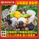 玉燕妃云南新鮮金耳黑松露竹蓀鹿茸菇組合 竹蓀蛋 見手青羊肚菌火鍋食材 10菌組合1kg