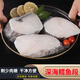 深海鱈魚(yú)新鮮大塊鱈魚(yú)中段魚(yú)片野生鱈魚(yú)排鱈魚(yú)段冷凍鱈魚(yú)輔食 2-3塊/ 500g /袋 精選新鮮大段鱈魚(yú)2斤裝