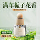 蒂詩(shī)宣車(chē)載香薰汽車(chē)香水梔子花味高檔持久淡香車(chē)里內除異味孕婦嬰兒可用 1瓶裝【庭前梔子】中香持久留香