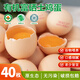 葛溪正太雞蛋有機雞蛋富硒雞蛋無(wú)抗土雞蛋散養鮮雞蛋有機谷飼山林散養 土雞蛋(40枚)有機富硒認證【順豐】