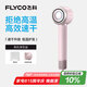 飛科（FLYCO）高速電吹風(fēng)機(jī)七夕情人節(jié)禮物家用便攜出游速干負(fù)離子大風(fēng)力護(hù)發(fā)吹風(fēng)筒FH6371鉆石粉國家補(bǔ)貼