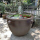 君閔景德鎮大口徑陶瓷魚(yú)缸家用老式古法魚(yú)缸室外水缸庭院門(mén)海荷花盆缸 平口古銅色帶耳 53x33x32cm直徑53高33底直徑32