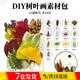 皓梵潔干樹(shù)葉手工diy材料包制作干花畫(huà)植物貼畫(huà)真標本壓花幼兒園書(shū)簽 diy干樹(shù)葉（35片）