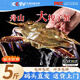 胖東來(lái)品質(zhì)梭子蟹鮮活特大野生舟山白蟹冷凍大螃蟹海蟹新鮮公蟹 3-5兩/只 【3斤舟山梭子蟹 嘗鮮