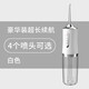 小米之家沖牙器便攜式2025新款家用電動(dòng)口腔清潔洗牙器噴水去結(jié)石洗牙機(jī)水牙線 小蠻腰沖牙器-白色4支噴頭豪華款