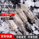 海兔子滿籽筆管魚(yú)鮮活冷凍籽烏章魚(yú)新鮮墨魚(yú)仔小魷魚(yú)烏賊 3斤
