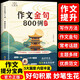 小樹禾作文金句800例三四五六年級八百例作文書作文素材小學生作文范文作文金句122實戰(zhàn)現(xiàn)場寫作技巧思路素材積累書