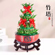 京云夢竹塔富貴竹盆栽綠植節(jié)節(jié)高新居發(fā)財(cái)客廳盆景5層+盆架子源頭直發(fā)