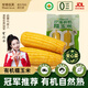 米特樂芙有機(jī)沙漠黃糯玉米 香甜軟糯煮食新鮮現(xiàn)摘有機(jī)種植無農(nóng)殘寶寶輔食 有機(jī)沙漠玉米400g