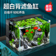爬將軍超白背濾魚(yú)缸自循環(huán)懶人造景缸小型客廳生態(tài)桌面金魚(yú)缸側濾水草缸 60cm黑色背濾【豪華套餐】