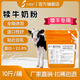 中博特犢牛代乳粉犢牛奶粉新生小牛奶粉代乳粉新生牛犢代乳粉50斤裝 桶裝黑牛10斤【23.8個(gè)蛋白】