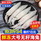 一蝦一世界滿籽海兔 鮮凍帶籽筆管魚籽烏海兔子 小魷魚烏賊火鍋燒烤食材 鮮凍公體 500g(凈重)  【無籽】