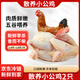 崠鮮小公雞1.4-1.6斤/只*2只裝 童子雞 新鮮冷凍雞肉生鮮 源頭直發(fā)