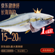 城市漁夫 海釣黃條鰤 15-20斤  京東精英海釣賽