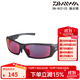 達億瓦（DAIWA）DN-8021CS偏光鏡戶(hù)外釣魚(yú)眼鏡墨鏡 太陽(yáng)鏡路亞海釣. 【DN-8021CS】調節式偏光鏡紅色