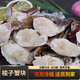 【京東冷鏈】新鮮現切梭子蟹蟹塊冷凍活切免清理蟹肉整個(gè)飽滿(mǎn)生鮮 梭子蟹塊 500g 2L規格//12--15塊
