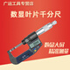 山測電子數顯葉片千分尺刀口千分尺薄片測槽外徑雙扁頭千分尺 0-25mm*0.4mm
