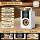 ROBERILLINE德國(guó)柏林之聲藍(lán)牙音響K歌話(huà)筒高音質(zhì)超大音量家用音箱戶(hù)外廣場(chǎng)舞 豪華版無(wú)麥白(U盤(pán))