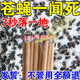 萬代蘭蒼蠅蚊香無味一聞死蠅香蚊香飯店室外專用強(qiáng)力滅蠅香家用驅(qū)蚊神器 3盒裝【買二送一 蒼蠅落一地】