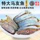鵬城曙光馬友魚干咸魚干海魚厚切中段3斤廣東特產(chǎn)海魚馬友魚塊海鮮干貨 實(shí)肉馬友/大魚切厚塊1斤裝