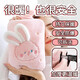 明佳匠熱水袋注水暖水袋大號加厚防爆女生可愛(ài)高顏值暖手寶被窩暖腳神器 【粉色長(cháng)耳朵兔】可插手款 1000ml【安全加厚內膽+毛絨外套】