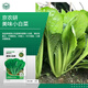 京農(nóng)研農(nóng)科院蔬菜種子大葉香菜四季小蔥雞毛菜紅莧菜芝麻菜空心菜種籽孑 京農(nóng)研美味綠幫小白菜 2克